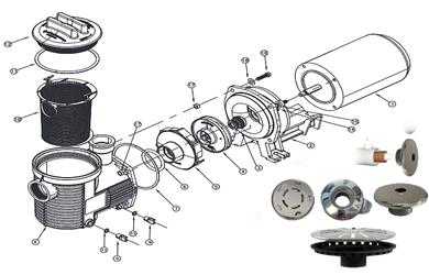 Peças de reposição para Bombas e Motores Elétricos